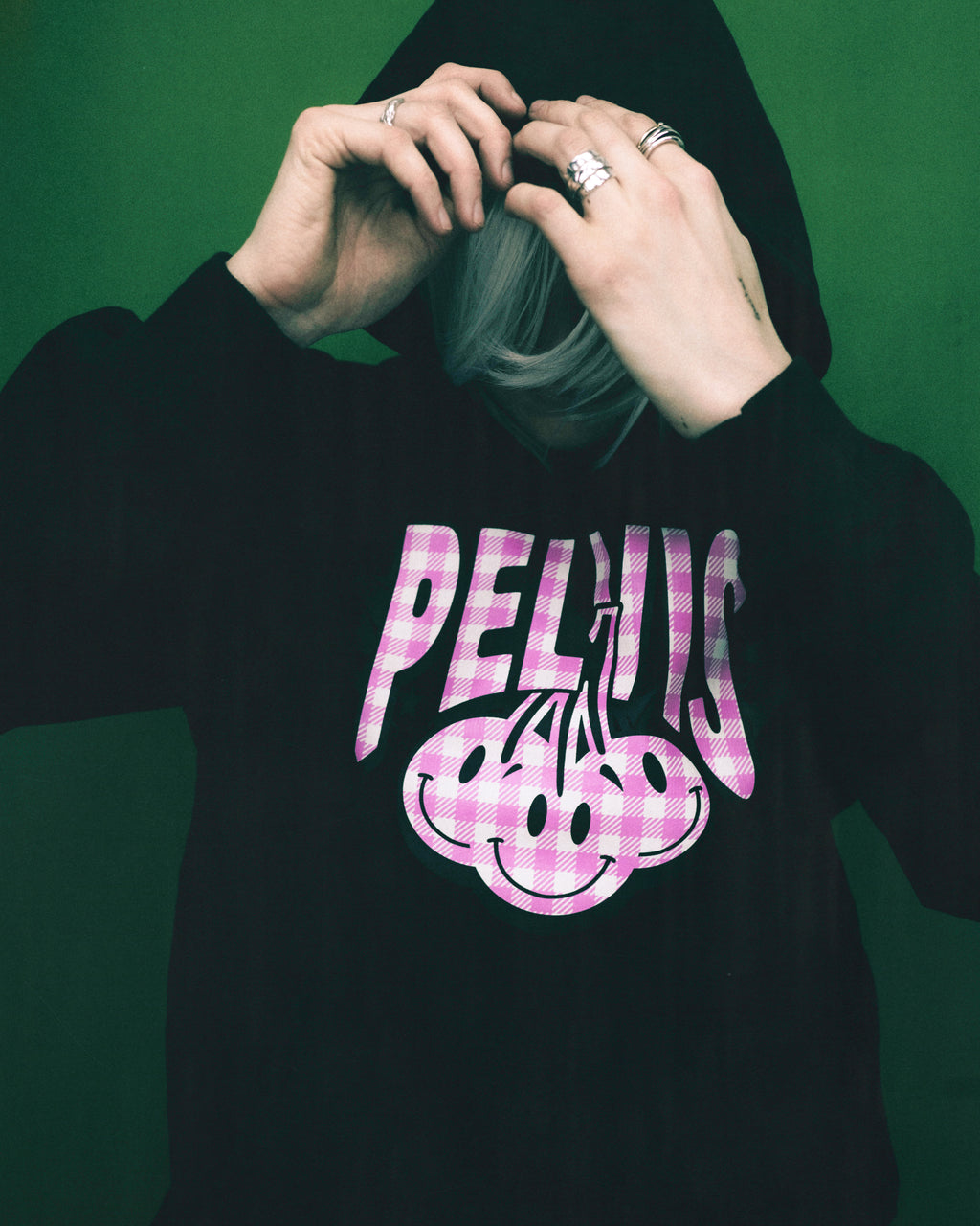 CHERRY GINGHAM LOGO HOODED SWEAT