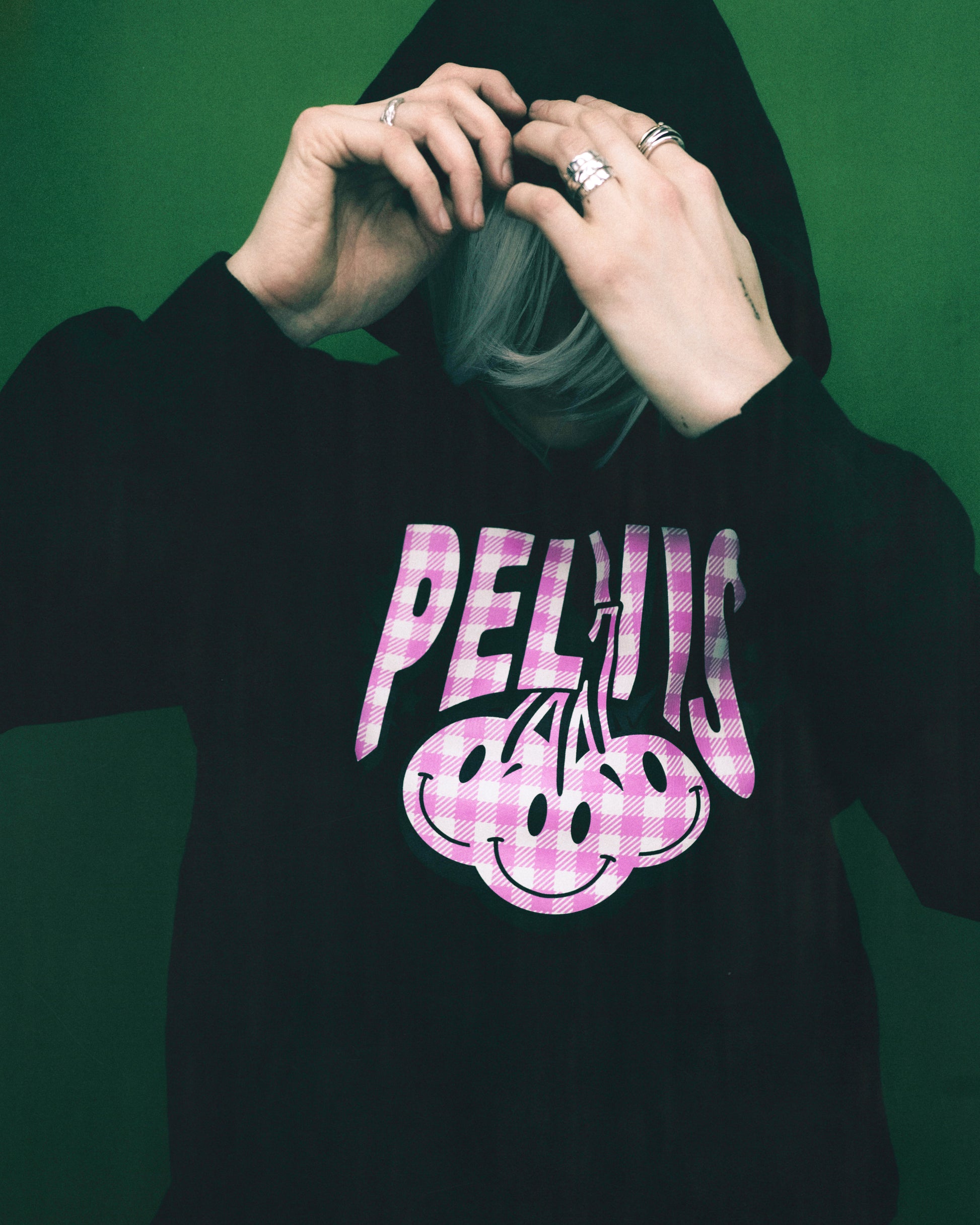 CHERRY GINGHAM LOGO HOODED SWEAT
